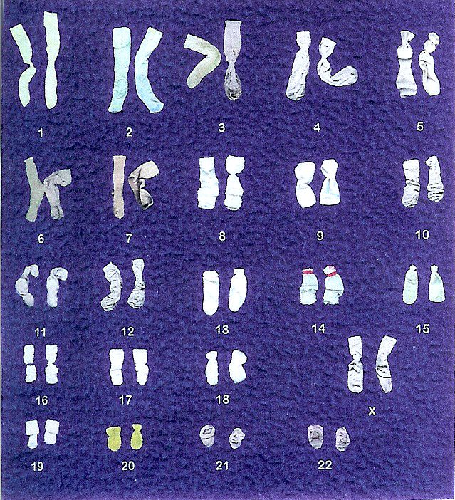 Ann Lingard, writer, author novelist, UK