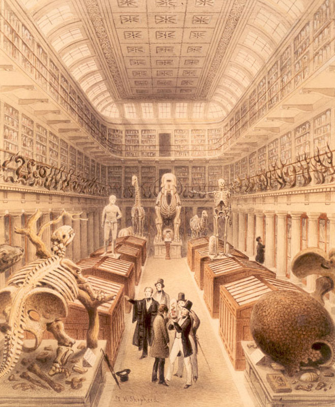 Ann Lingard, writer, author novelist, UK