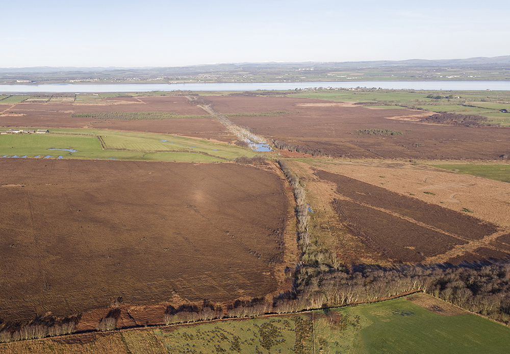 Ann Lingard, writer, author novelist, UK